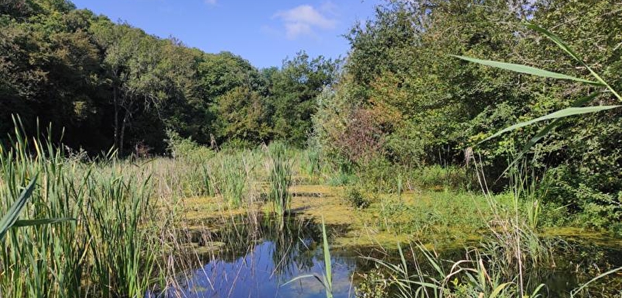 Grand-Lemps Pond Nature Reserve, 23 minutes from Détente et Clapotis campsite