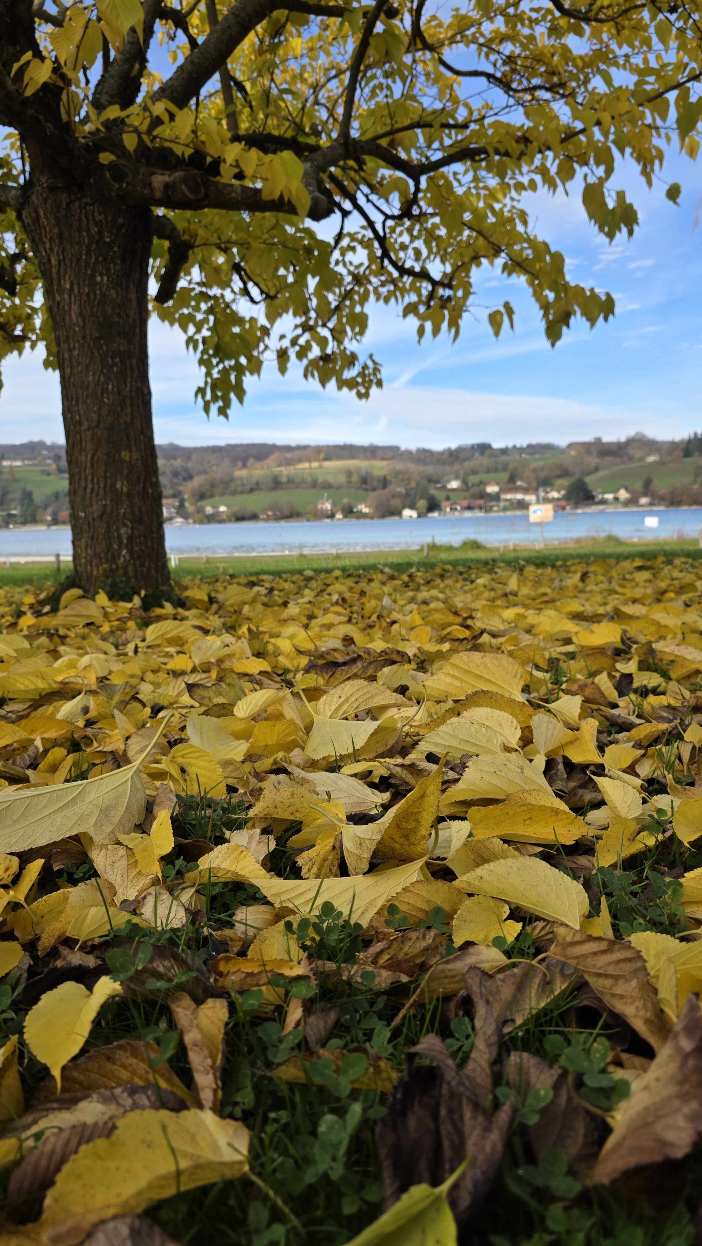 Plage naturelle du Lac de Paladru en automne hors saison - séjour ressourcement nature au camping Détente et Clapotis